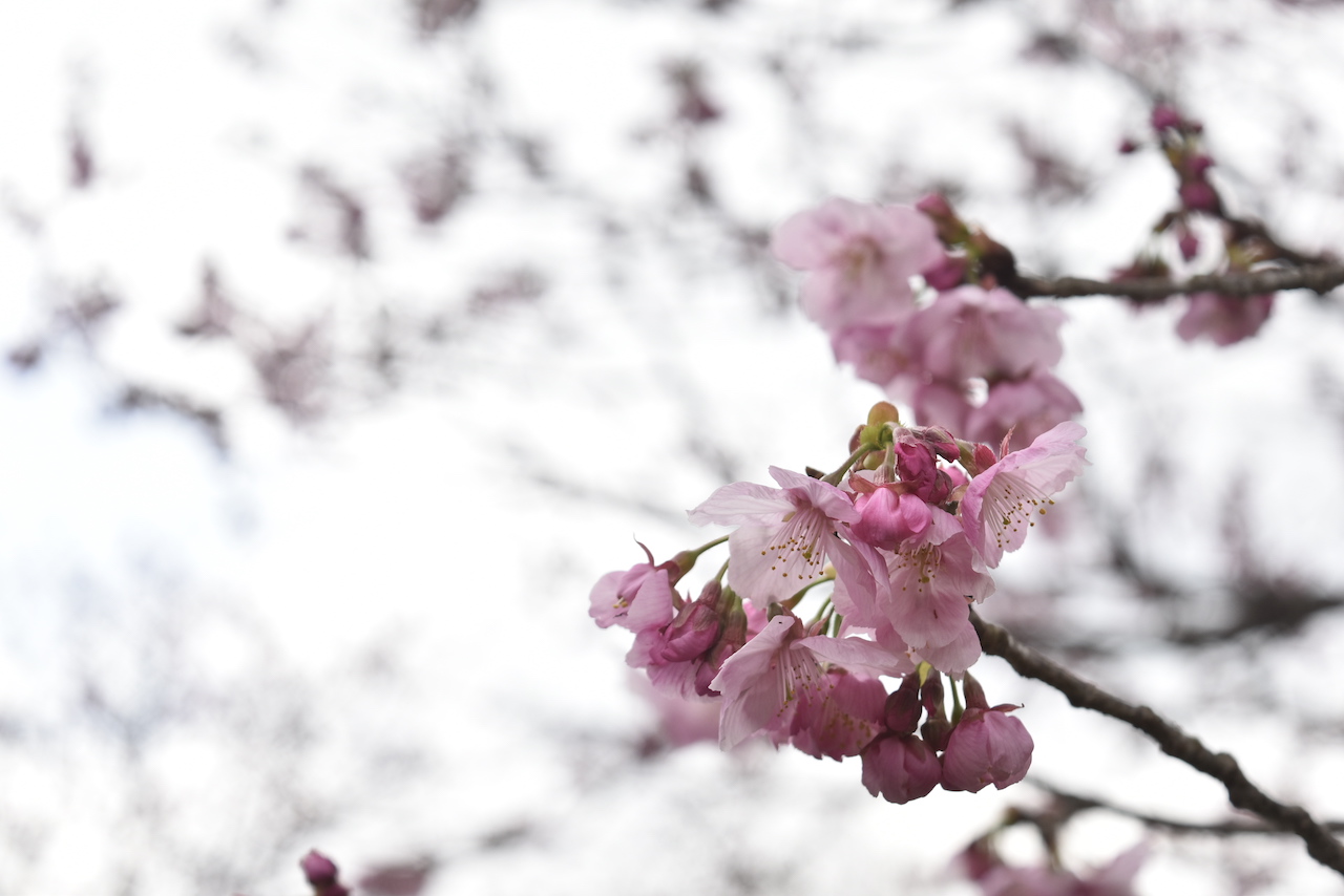 令和元年度卒業🌸